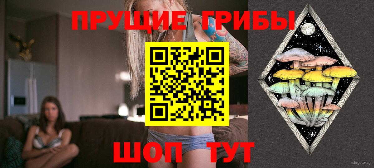 Псилоцибиновые грибы MAGIC MUSHROOMS  Вход с VPN  Псилоцибиновые грибы Cubensis  Артём 